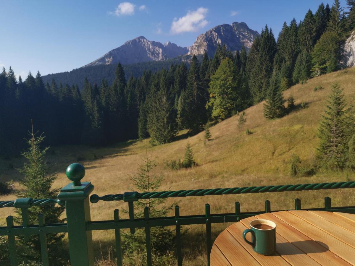 Magic Mountain Villa Žabljak Buitenkant foto