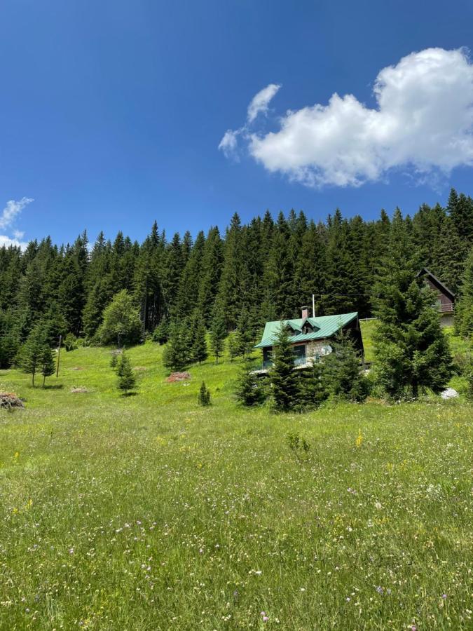 Magic Mountain Villa Žabljak Buitenkant foto