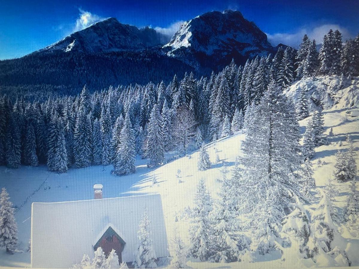Magic Mountain Villa Žabljak Buitenkant foto