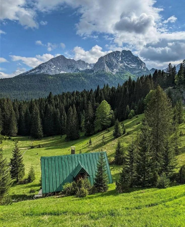Magic Mountain Villa Žabljak Buitenkant foto