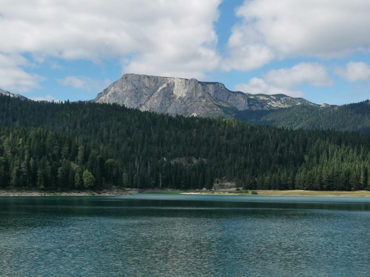 Magic Mountain Villa Žabljak Buitenkant foto