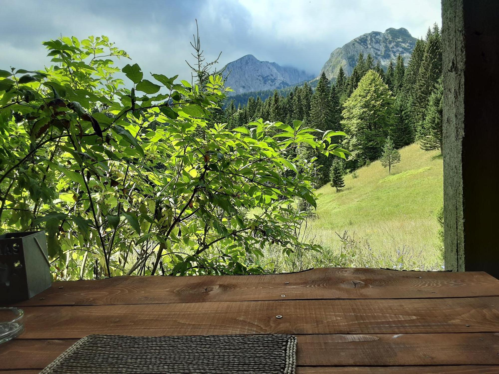 Magic Mountain Villa Žabljak Buitenkant foto