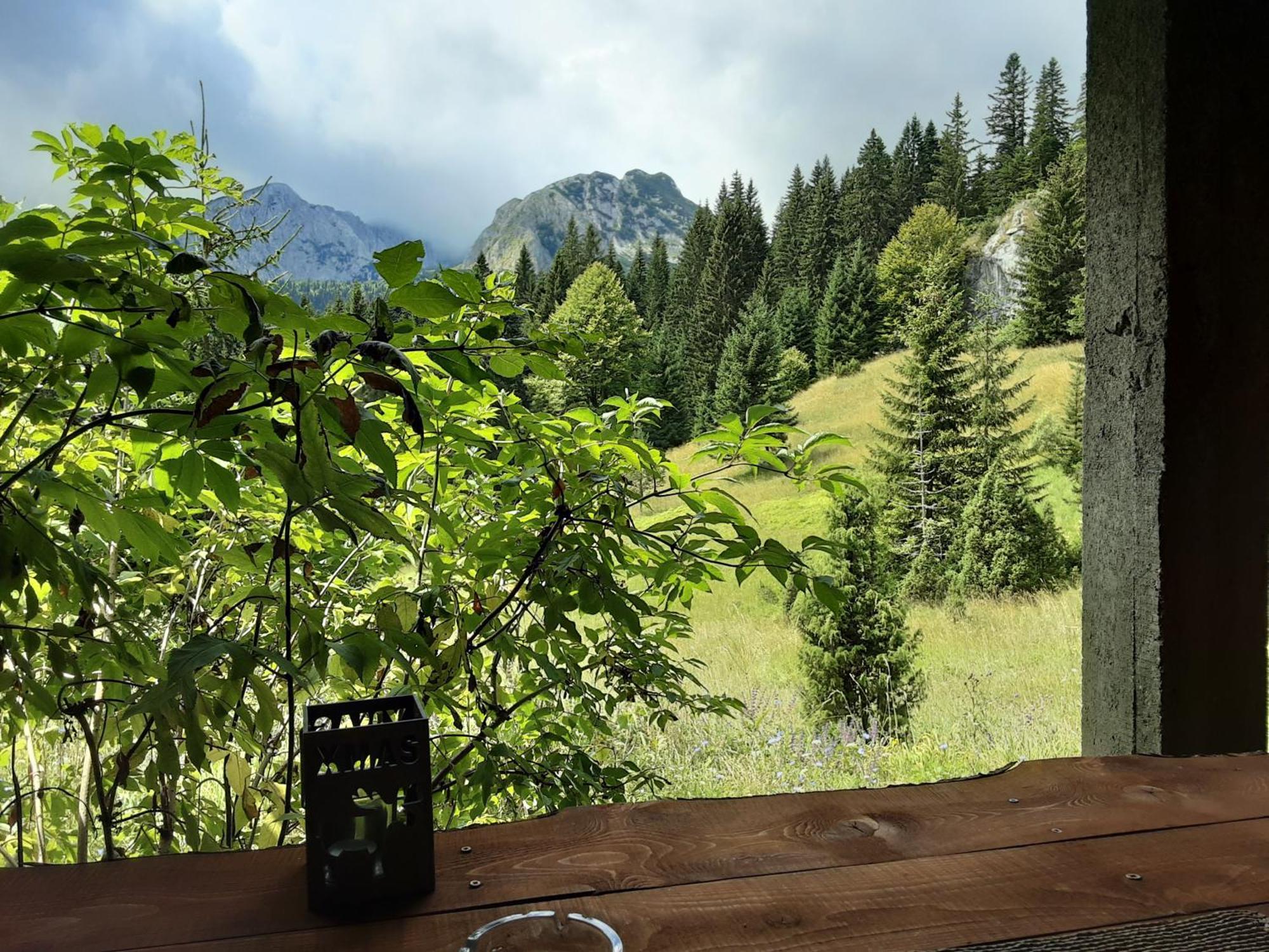 Magic Mountain Villa Žabljak Buitenkant foto