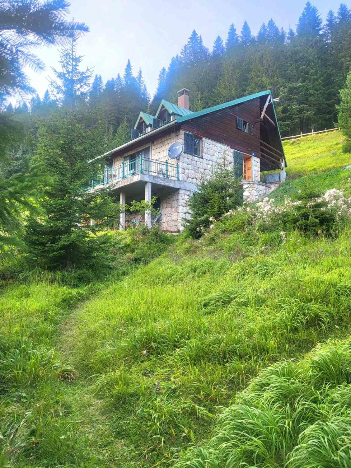 Magic Mountain Villa Žabljak Buitenkant foto